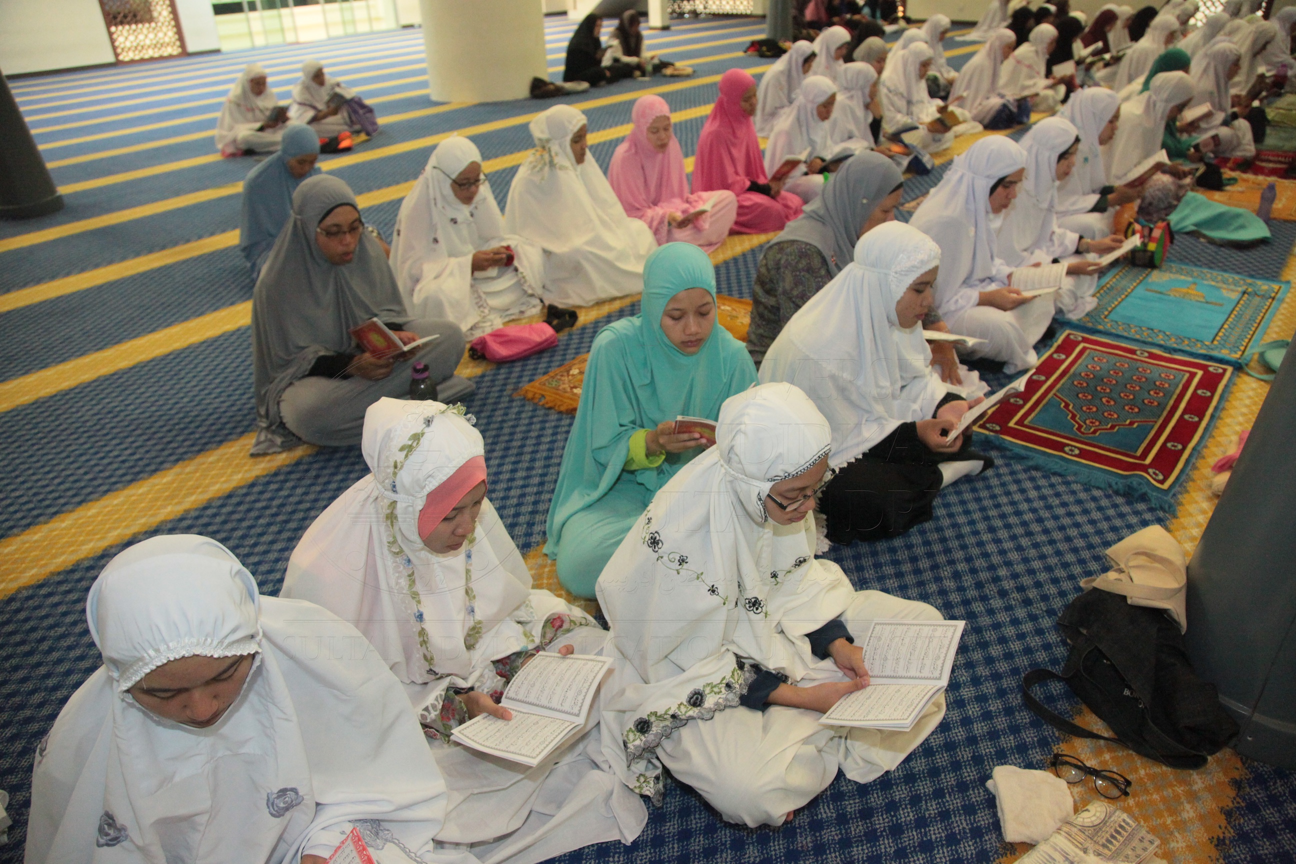 PRO16 20 yassin IMG 0363